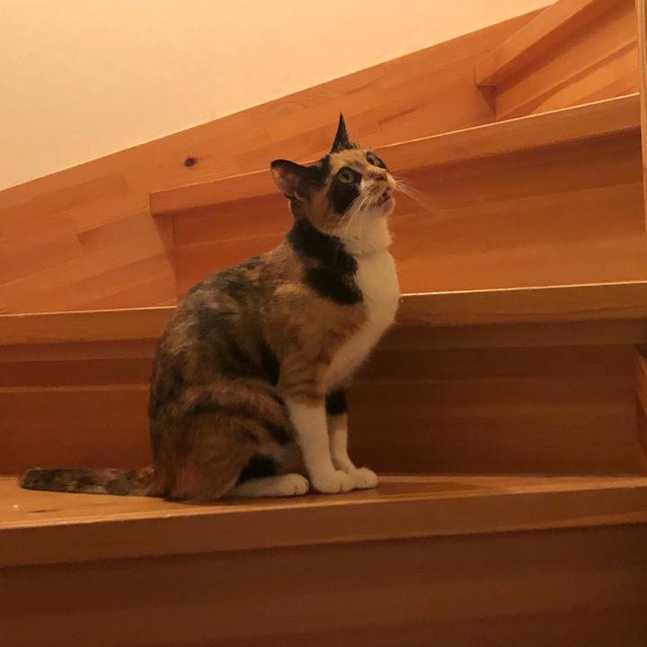 2f4943c7 915e 46f0 a998 06876089f6be 1568112108363