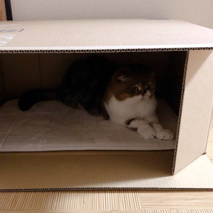 2f4955dd 75d8 42aa a286 2173a09b9a03 1600254830705