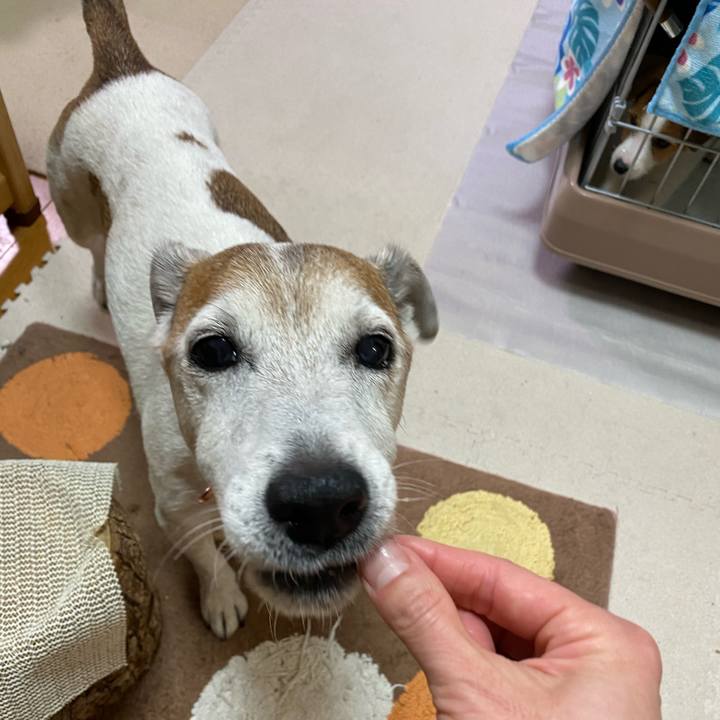 2f4965e5 527c 414f 9150 e551ee044b94 1610365846103