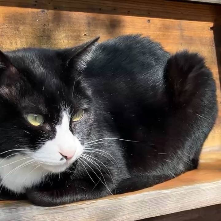 2f49a3ec 36cd 4ab7 b3f6 ff4653d9f1e1 1740538136907