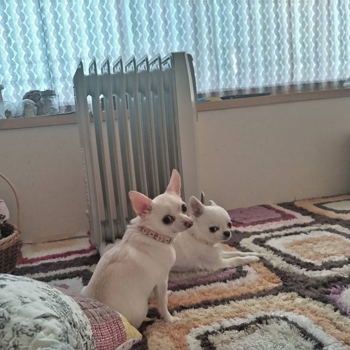 2f49c6a5 977d 4e9d b706 7fb8dd43603f 1769294779438