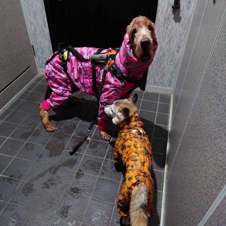 2f49cfe6 ca7c 45d7 884a 2b0136461c5a 1708679444675