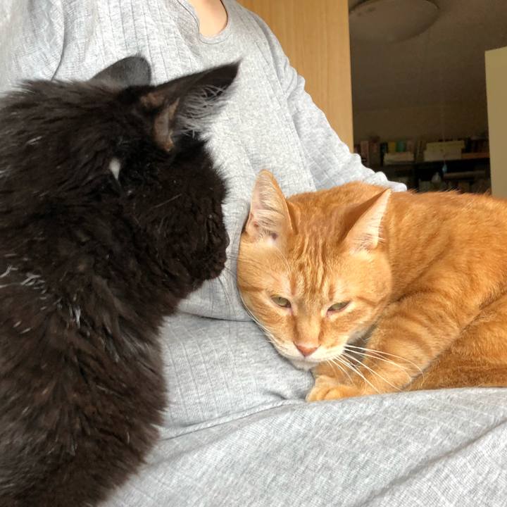 2f49d919 137b 4c7b ab1f 486767c2a5e4 1591410617319