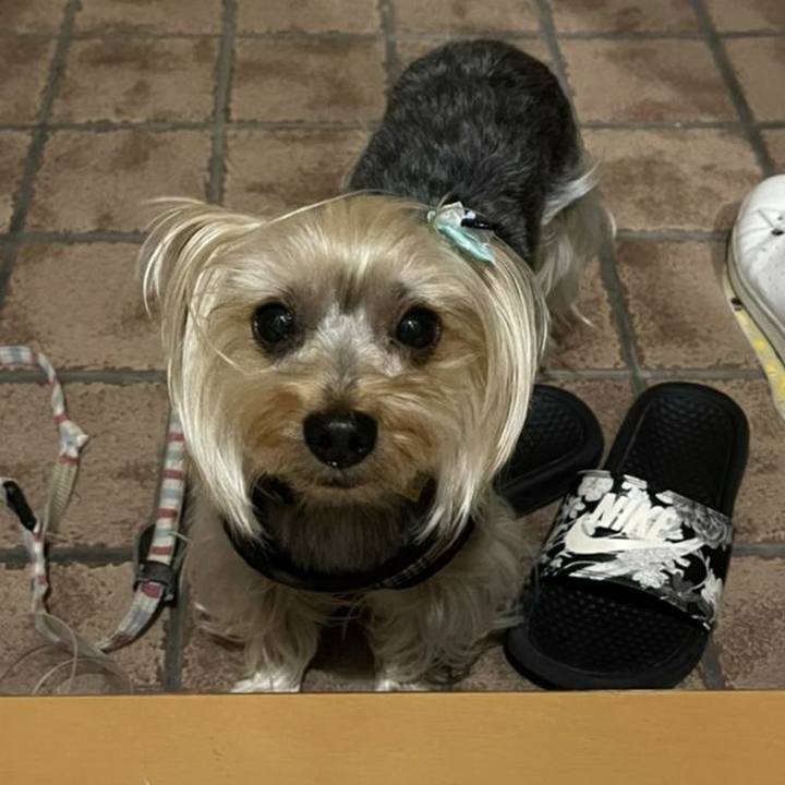 2f49e1ee 2433 4017 b168 f0f2013b5cff 1623760336071