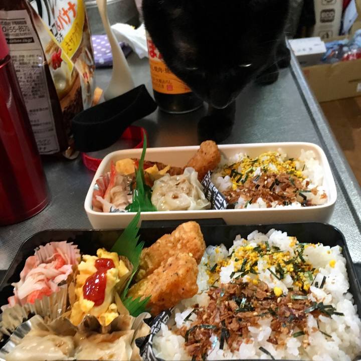 2f4a6be7 a591 4ac4 8976 2463c17f75c5 1519639260407