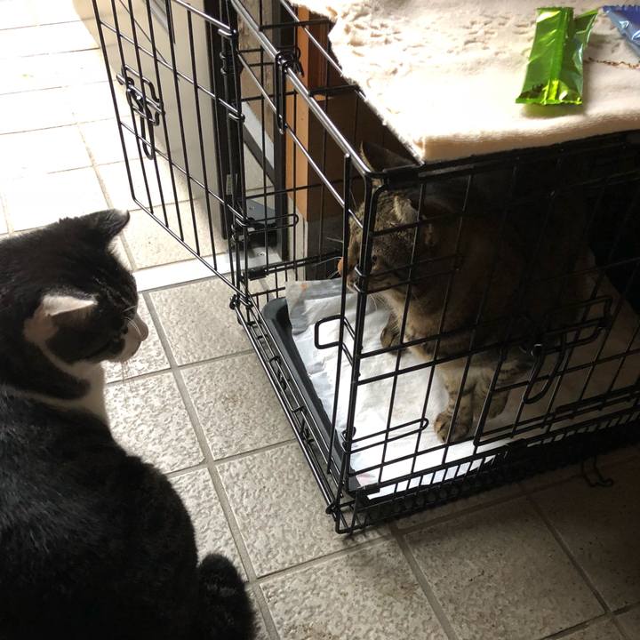 2f4a8eb2 7797 473b 9231 50cd9a0de06e 1537934019217