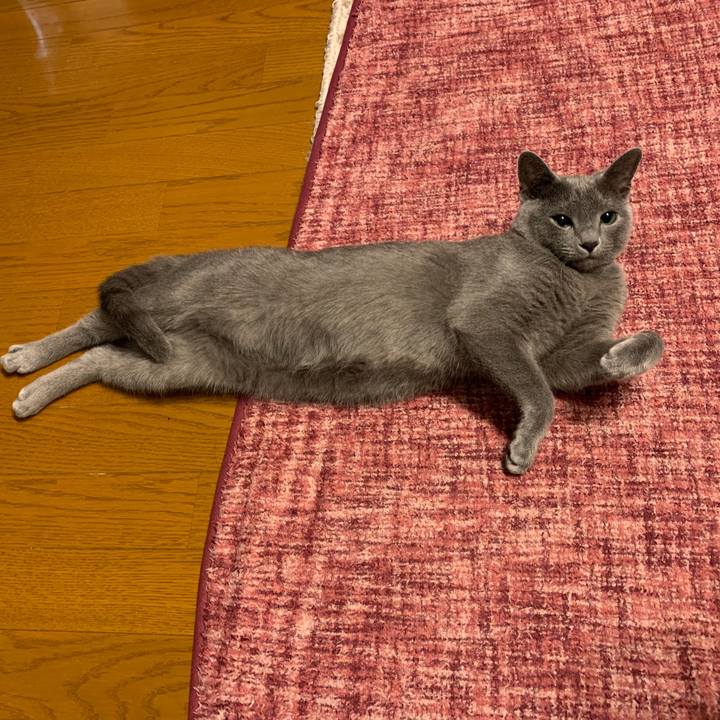 2f4a9b1e 5f7a 435a 9d3e c462688ff52d 1577483505177