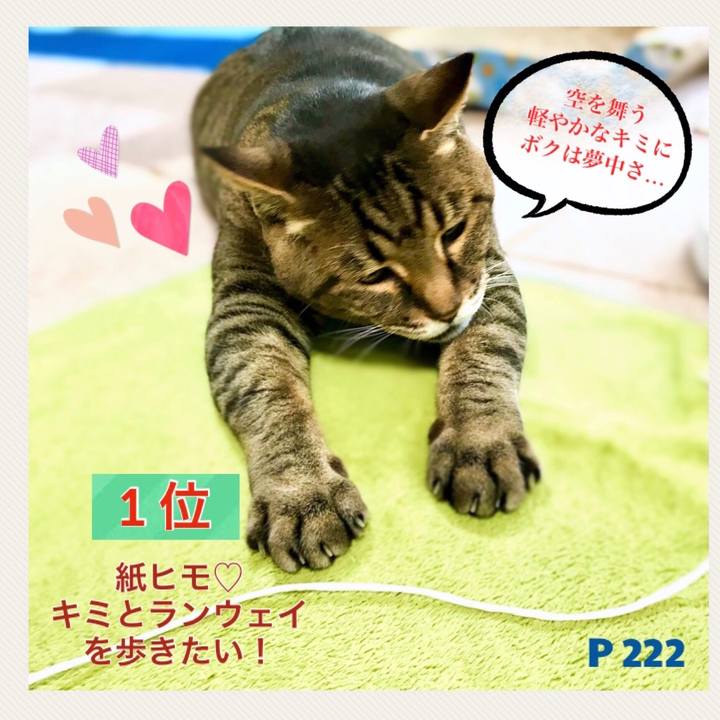 2f4a9ecf 65c4 45eb 8868 5d8f85a929fa 1626178816143