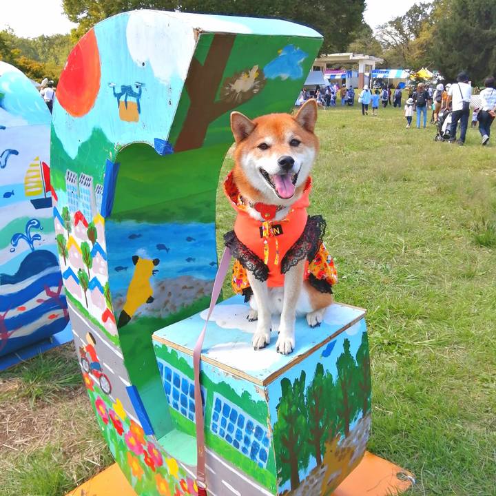 2f4ac8f7 f476 46a4 bb74 7d1a127de97e 1664622603359