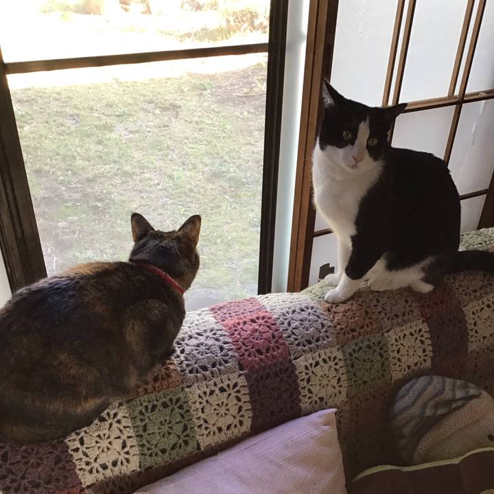 2f4ad3a5 8385 4ed3 aad7 fa4eace17ec7 1679307902660