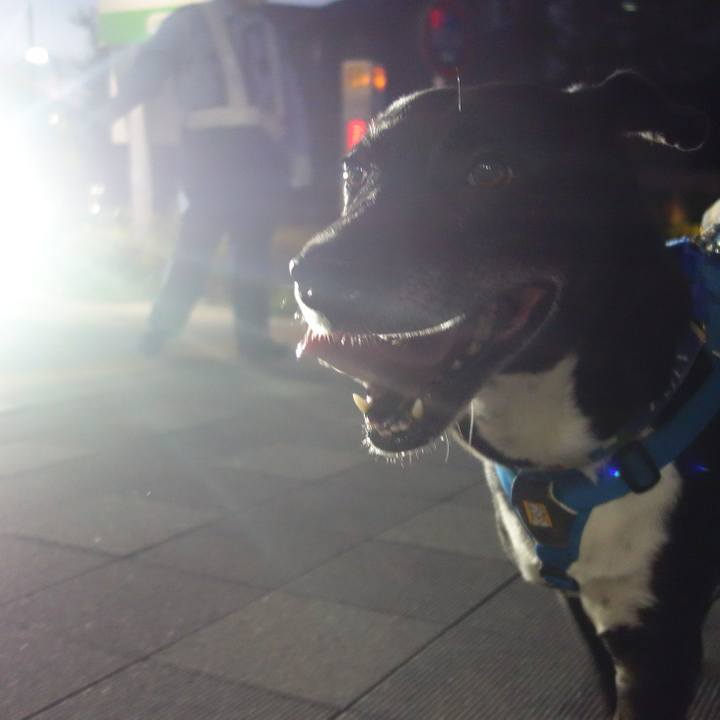 2f4adbe0 3614 4f9c a196 dacdda664362 1692197685450