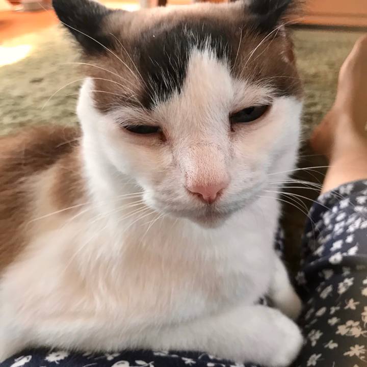 2f4ae885 0075 4e2f ab06 95567c16fd76 1595158176175