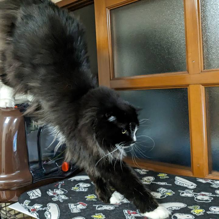 2f4af653 6934 4d52 bce7 3494b1693aae 1707131509155