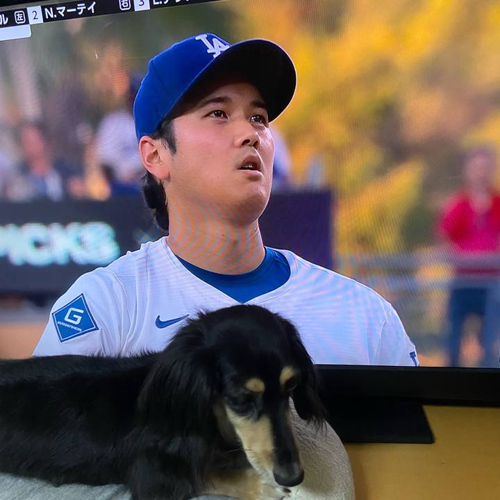 2f4b7284 2e2d 4759 bd2e a07015d2b146 1756346490084