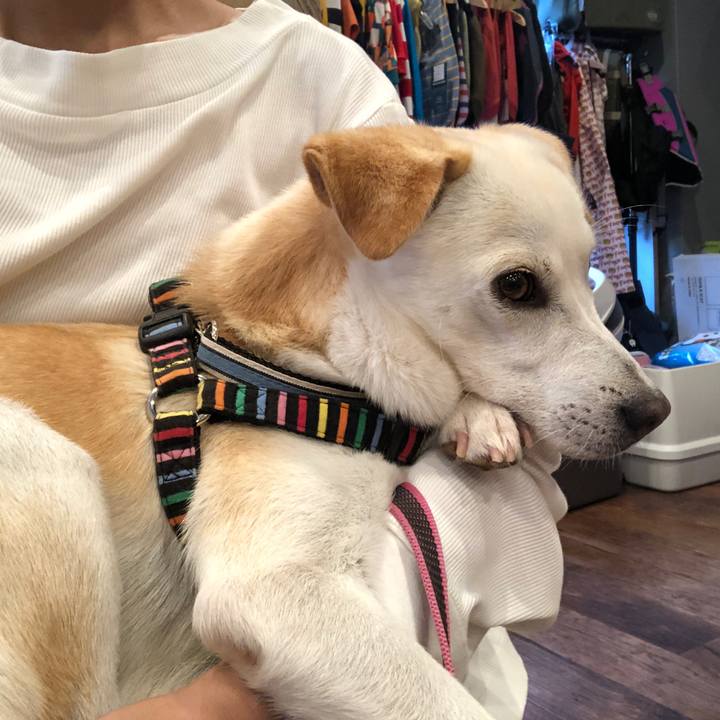 2f4b7329 ec93 4bec 9ed8 ef803668fbf2 1629554131354