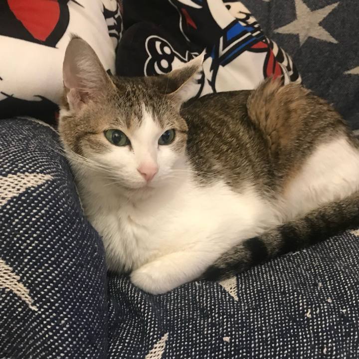 2f4b9860 a9bd 4d61 867b 2c043379f0bd 1755217428657