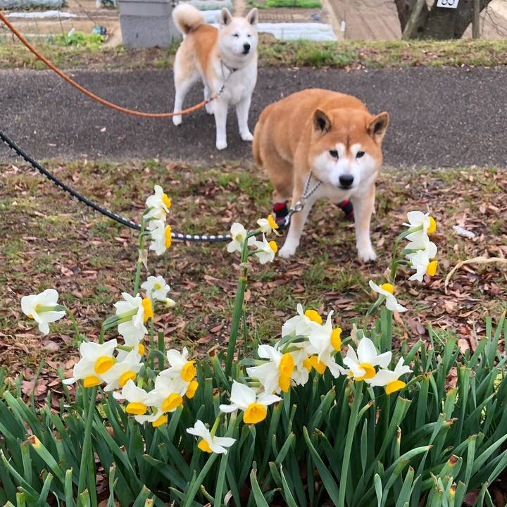 2f4ba345 7ec9 4e4b a499 4f195e6cf8b7 1645140823338