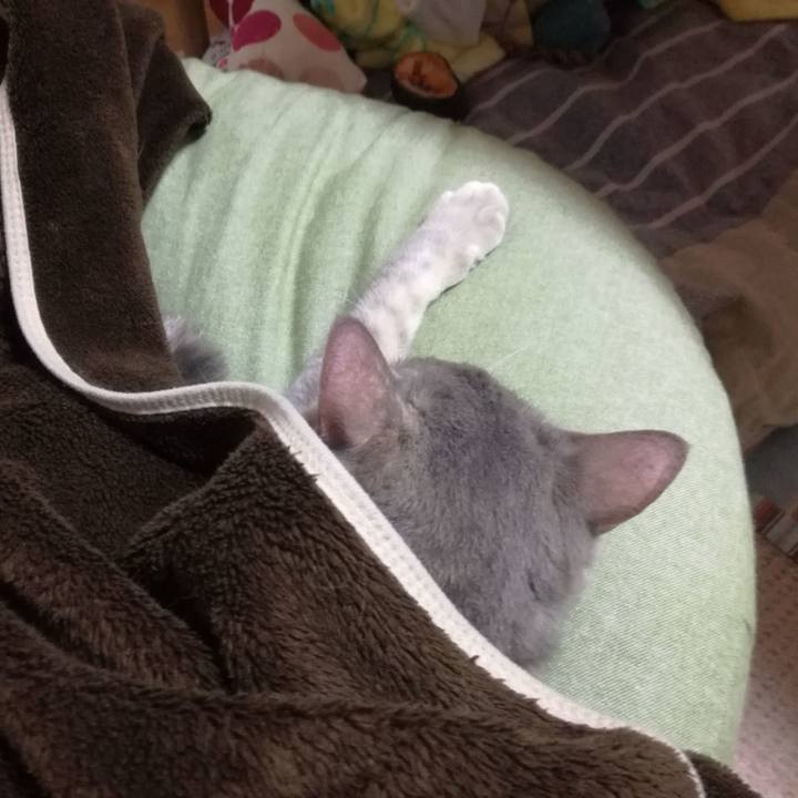 2f4c04fd 75e4 4667 9c12 14de053cbdaf 1512398841707