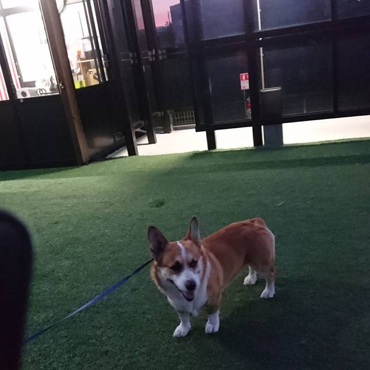 2f4c28cb abe9 4d51 afcc 9b8194f76e73 1591841499136