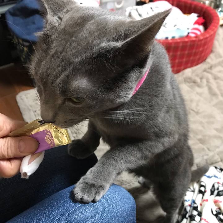 2f4c6fa2 aaab 45cd 8ebb a020819c3b7a 1549794536023