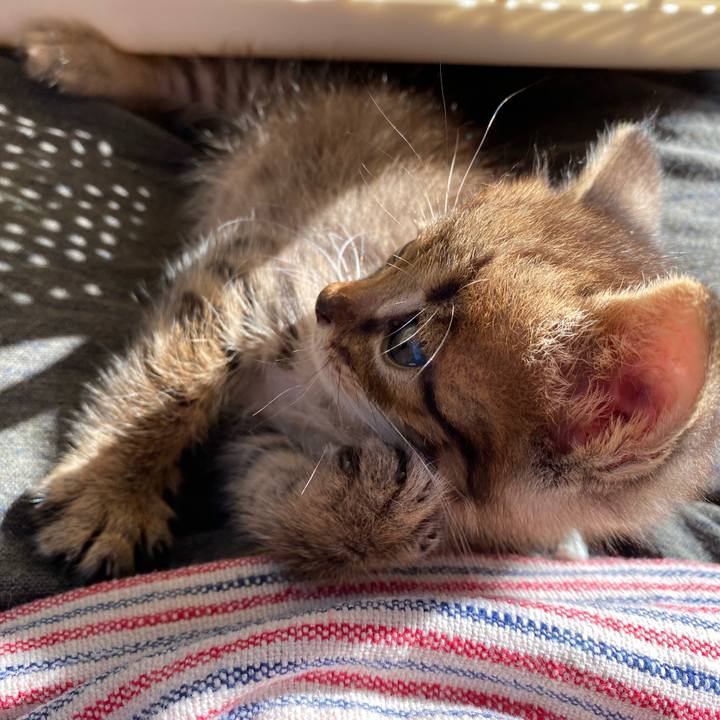 2f4c8680 4c02 4e2b ba62 69cc82067933 1635141066773