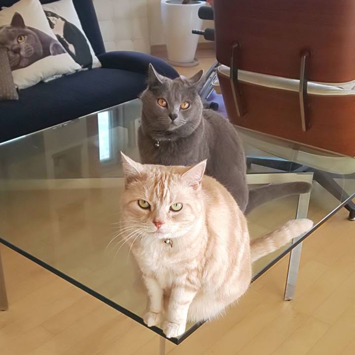 2f4cc028 7177 422b af62 971ac006d5f5 1587599379367