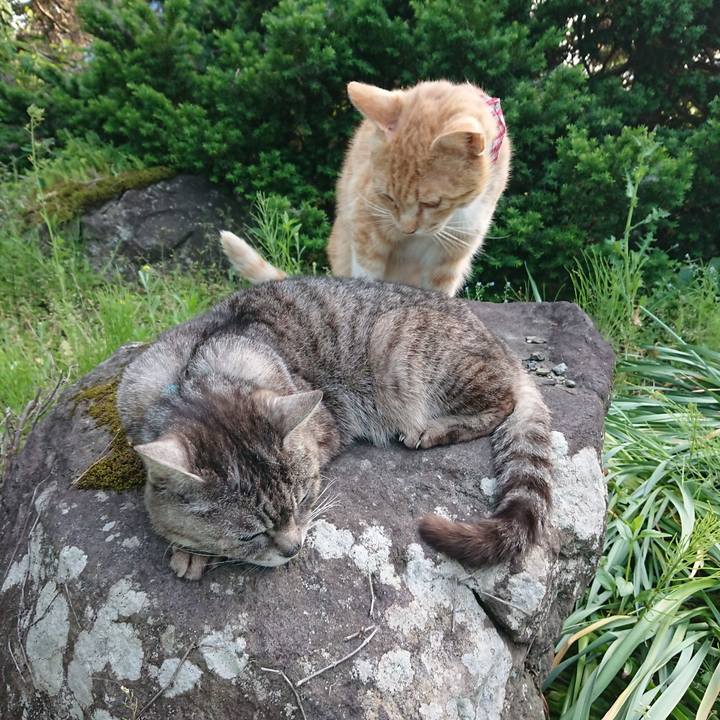 2f4d3a76 3d13 4881 a41c 41685268d21a 1559212316946