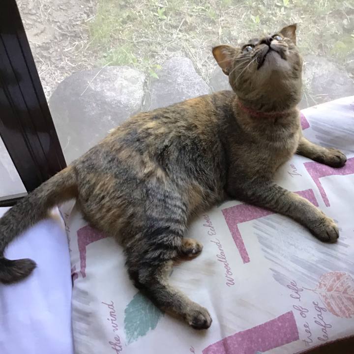 2f4d645d aefb 4e0b 85cf d14850083393 1586523863376