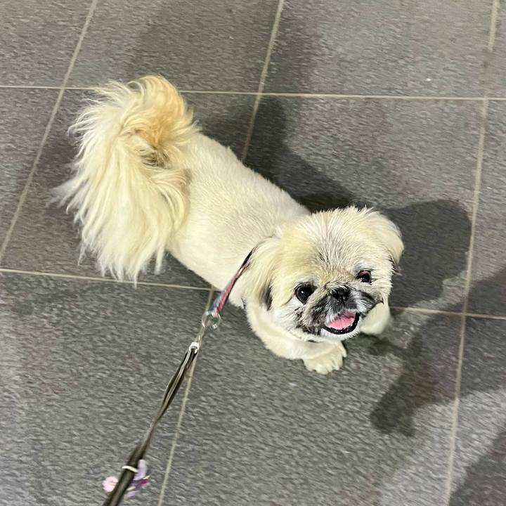 2f4d7323 f176 4430 a629 fcb9a4d9e660 1743030673824