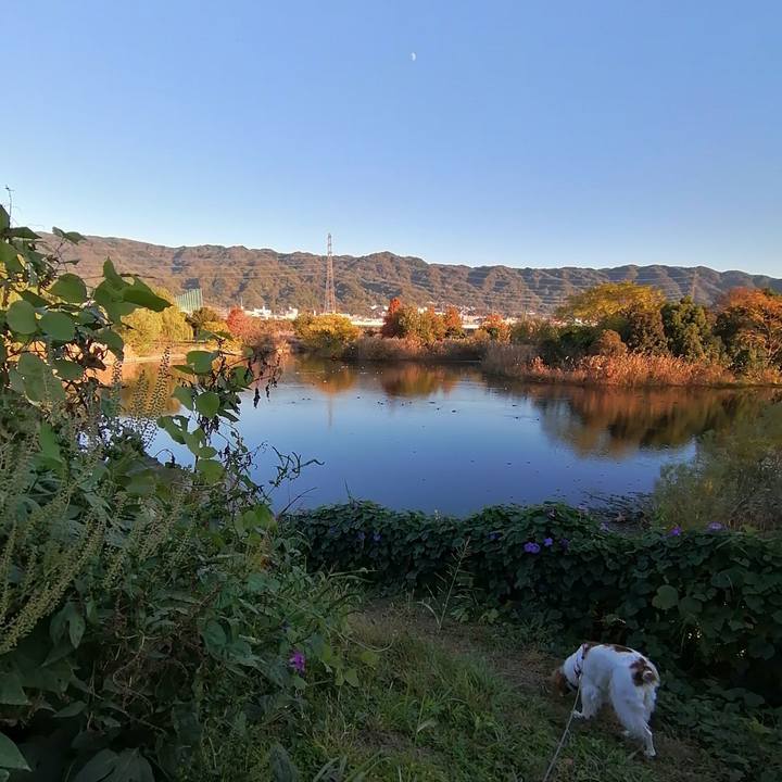 2f4db5e8 e979 4e8e 9f59 42b38b4b5bab 1606216654126