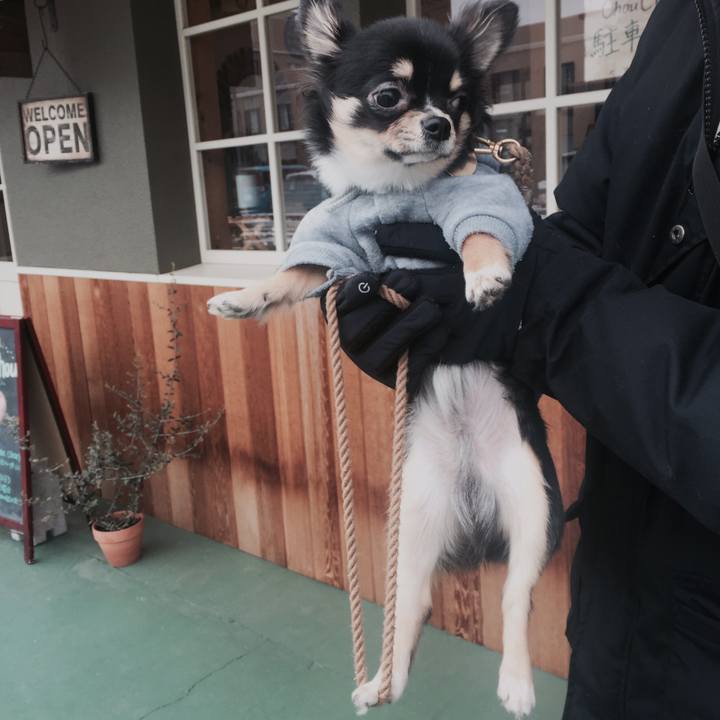 2f4ded9c 183c 4cfc 8b75 af3a9d74a954 1517119572635