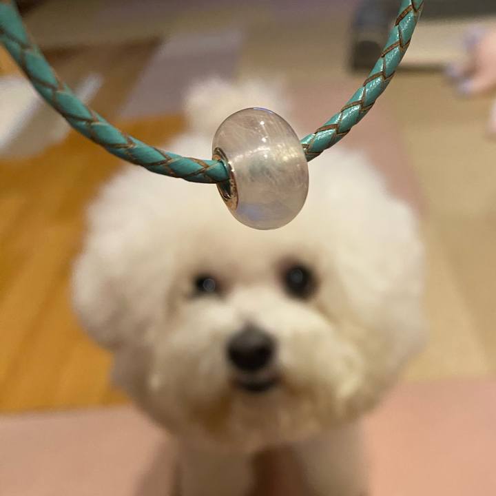 2f4e0382 38a3 475b 808f 02ebd0881d6c 1734682034470