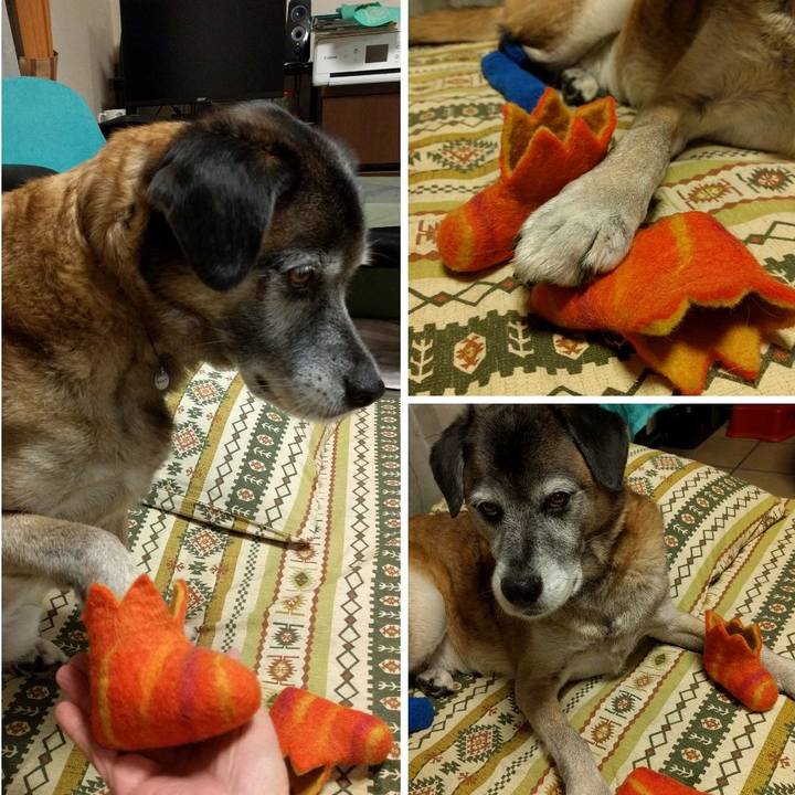 2f4e1c05 32ed 4ac0 8bde f379903fbf1d 1545130063505