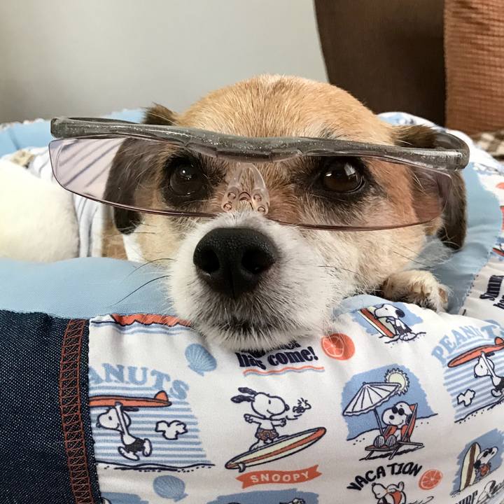 2f4e2aad c25c 4108 a083 32a2110eeb9c 1595631653505