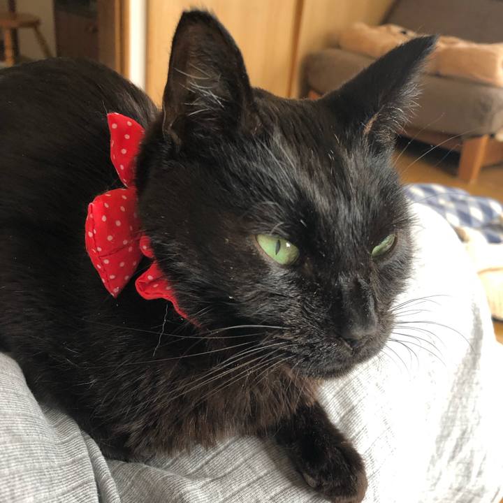 2f4e3fea 8267 4523 a9f9 c10bc9cfb90b 1556592764726