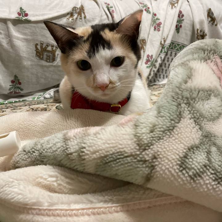 2f4e4019 1f94 4d41 b37a 357dda823c8d 1702825409175