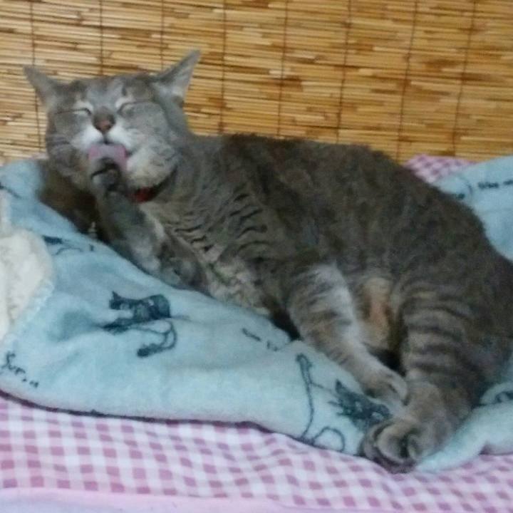 2f4e4f5f a507 4f91 9f8b d0e6ca4c04d4 1516264411386