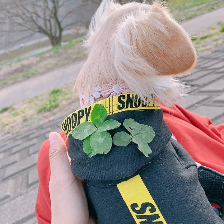 2f4edd8c 3090 43c9 bb54 b33547391d5b 1614850518466