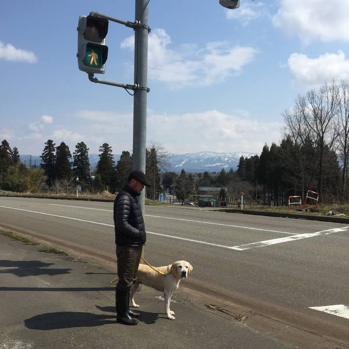 2f4ee431 6e4f 4877 8aac 26e77def91ab 1548212616982