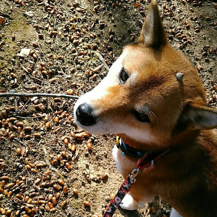 2f4f367b 5325 4cba 88bb ced88dca82c8 1541033323700