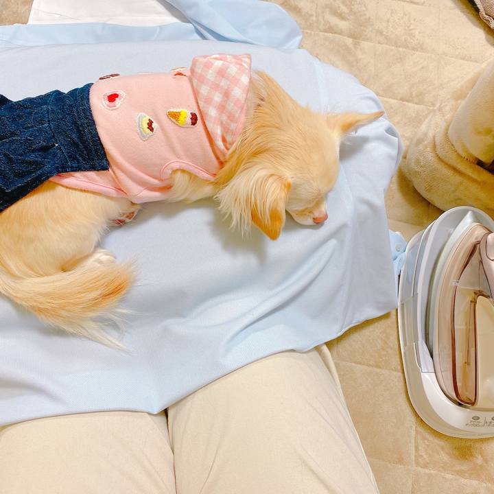 2f4f53b9 c937 4867 896f 6be501937512 1637584711908