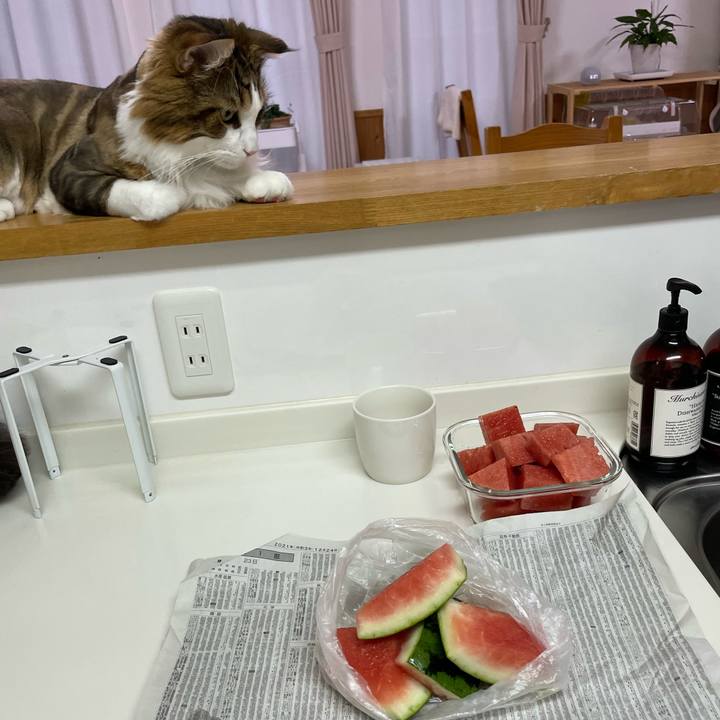 2f4f8b3f b62a 4bda 9e66 e8f2e8d8c4b5 1659520386106