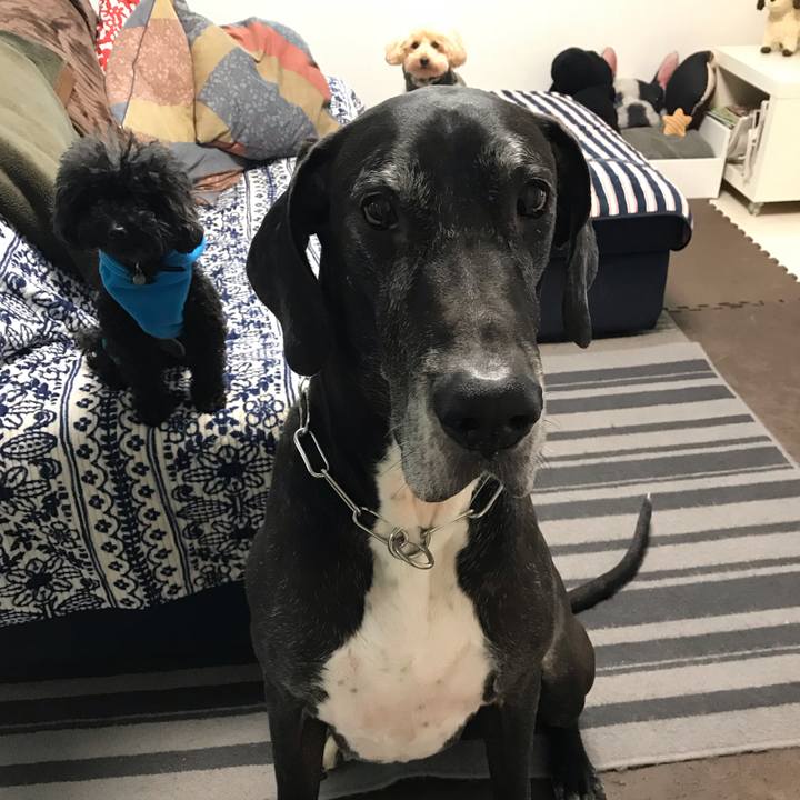 2f4fb0d7 6478 49f6 961b 0bb0259716c8 1544654314988