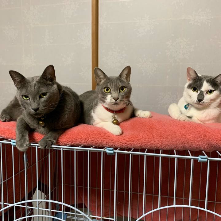 2f4fbe0c f734 4150 843b 40ad045ee685 1643542649790