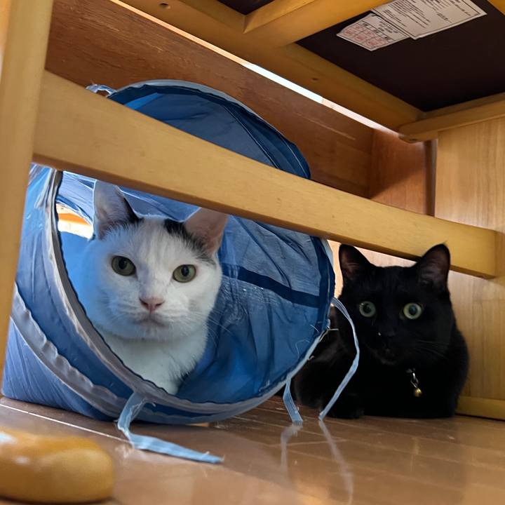 2f4febd2 80b8 4806 be47 ce8642ae1c18 1694828267685