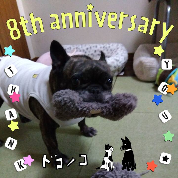 2f4ff5e9 d68e 40f6 8bac 982026b82960 1717769219269