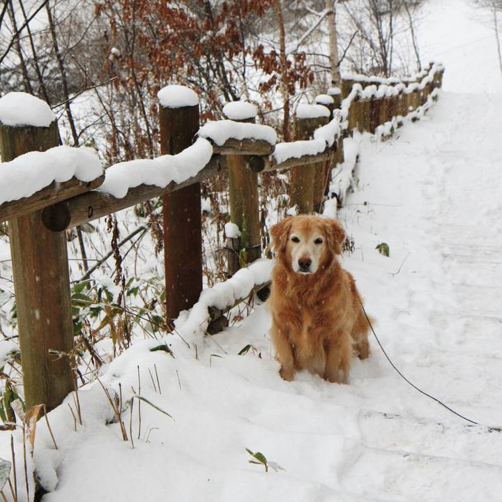 2f5006ae 3ddb 4a0f a57c 9641a5f2b69f 1765527883958