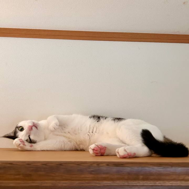 2f5036f2 b072 4192 8217 b196b69e4e8d 1763033706847