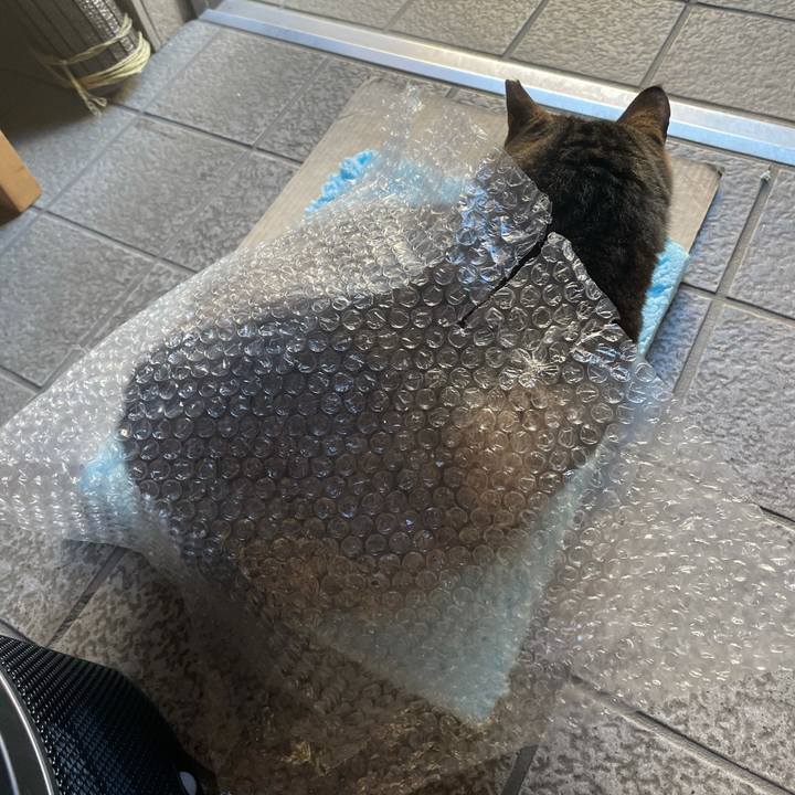 2f50509a 8353 44c0 b699 d74ac6102916 1611970361615