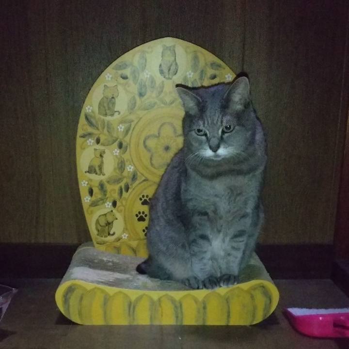 2f50a06e 8c4d 4bab baec b40a8f6dac7f 1636923085970